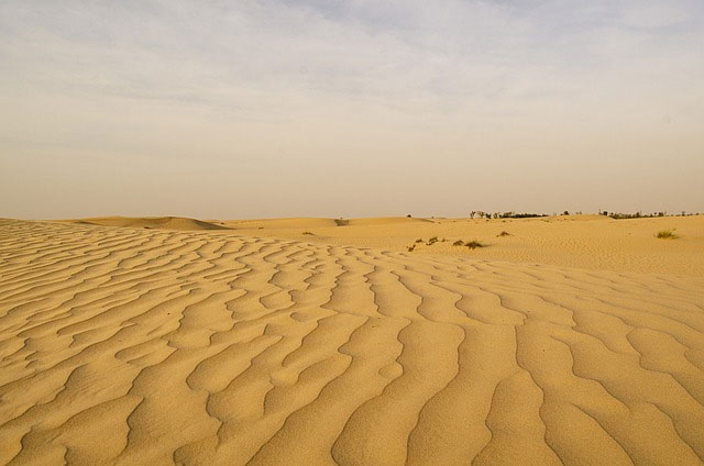 dessert, dubai, arab