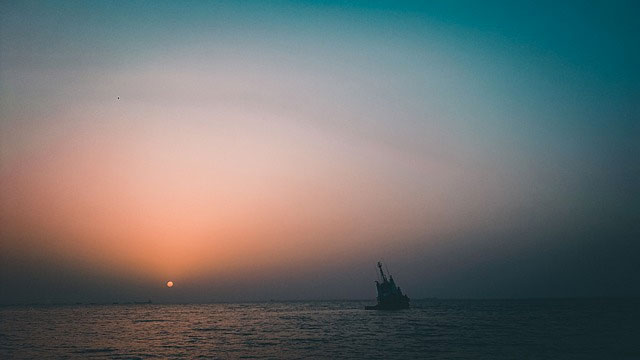 jumeirah beach, nature, life