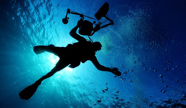 scuba diving, swimming, sea