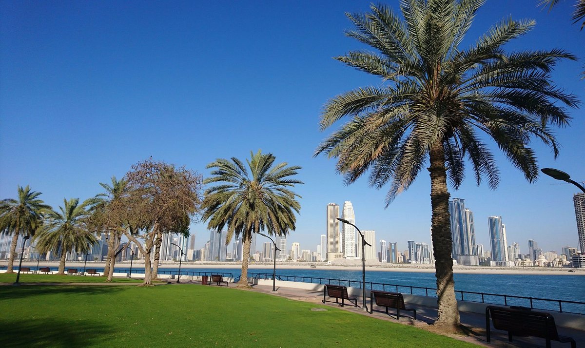 Al Mamzar Beach Park in Dubai with its lush greenery