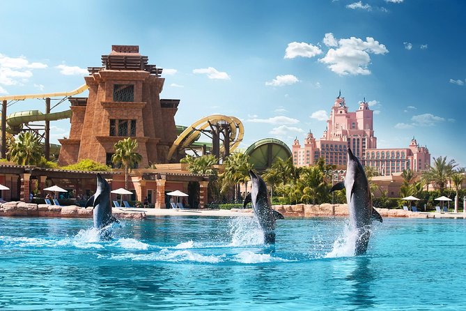 Dolphin Bay and Sea Lion Point, a unique experience at Atlantis The Palm