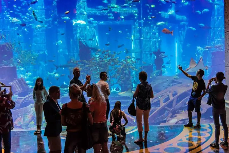 The Lost Chambers Aquarium, a unique experience at Atlantis The Palm